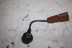 17816199 – 06F905377 – Pingelsensor