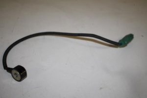 17826008 – 06E905377A – Pingelsensor