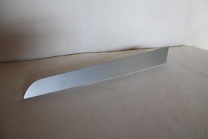 17789496 – 8K0867420F1NK – Sierstrip