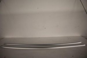 17802974 – 4G9860021F1L1 – Dachreling Set