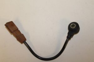 17789002 – 06A905377C – Klopfsensor