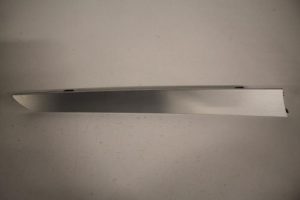 17802611 – 8K0867419F1NK – Sierstrip